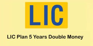 Unveiling the 5-Year Miracle – The Ultimate LIC Policy for Doubling Your Money LIC Policy for Doubling Your Money